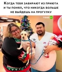 мне кажется, что не о кол-ве прогулок стоит беспокоиться этой псине глядя на голодные глаза этих кожаных мешков, ой не о прогулках.