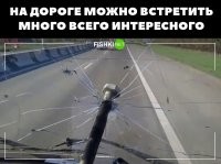 Фото с мотоцикла? Какой-то пластик вместо стекла.