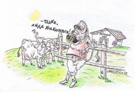 Телки колбаситься приехали,а теленок почему-то не захотел...