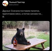 Фотоприколы и&nbsp;прикольные картинки