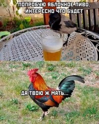 Фотоприколы и&nbsp;прикольные картинки