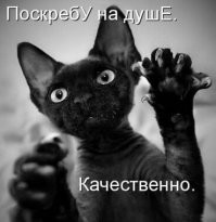 Просто гифки, всякие и&nbsp;разные