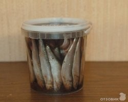 "Starship сможет доставить до 100 человек единоразово на Красную планету, и это путешествие займёт около девяти месяцев в одну сторону."

Стесняюсь спросить - А в каком виде эти 100 человек единоразово будут доставляться 9 месяцев на Марс?