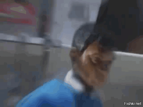 25 правдивых фактов, которые кажутся полной выдумкой