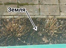 Вот, не расстраивайся. :)