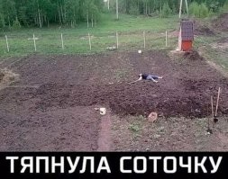 Все бабы - дуры. В сортир прям по грядкам ходить будешь?