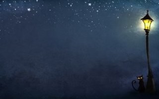 Три трупа, около пяти кубов несортовой древесины и один кот с лампой ( одна штука).