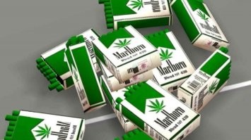 В 2015-м кажется Philip Morris официально объявила о начале продаж сигарет Marlboro с марихуаной. «Наша компания высоко оценила идею маркетингового продвижения сигарет с каннабисом и некоторое время проводила мониторинг рынка. Наконец, мы приняли решение совершить этот прыжок. Пока только в штатах Колорадо и Вашингтон, жители которых уже могут реализовать свое законное право на покупку...» :crazypilot: