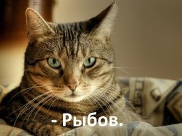 16 дизайнеров, работы которых по-настоящему концептуальны