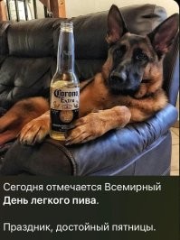 Алкопост на&nbsp;вечер этой пятницы