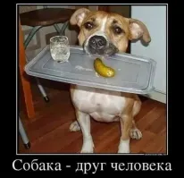 Из книги «Дружище Тобик»