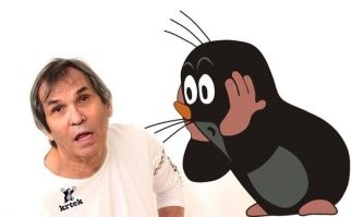 В Калифорнии жена пыталась отравить мужа, подливая ему в чай средство для устранения засоров в трубах