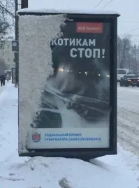 Фотоприколы и&nbsp;прикольные картинки