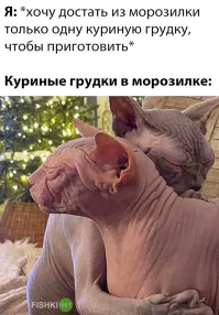 На голени больше похоже