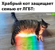 Он давно уже не кот... А теперь вообще...))