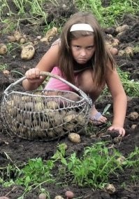 Девочка-маугли, выращенная картошкой?