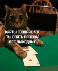 То, что я опять просрал все выходные, мне тоже говорят мои карты, но другие - банковские