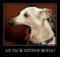 Коварный малыш неприятно удивил продавца