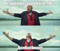 До и после: 30 трогательных фото спасённых с улицы собак