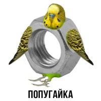 Пожалуйста)))