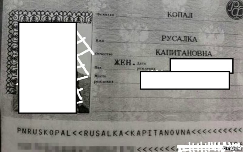 Выбираете прямоугольник и включаете "заливка".