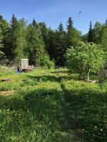 тоже в 2020 купили дачу, как раз родился 3й ребенок, очень спасла в ковид. Участок был неразработанный, лет 6 ничего не садили, весь в буграх, вот, с грудным на руках взялись мы за это нелегкое дело. Несколько сезонов только участком занимаемся, за дом даже не брались, даже забор между соседями не поставили еще, старый рухнул. Как говорится было-стало.