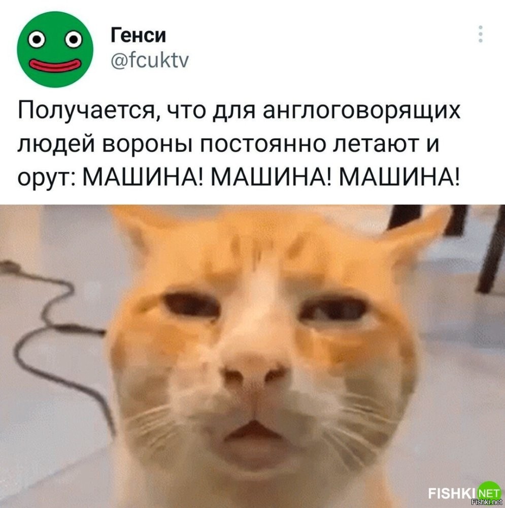 А для тех, кто живет в Израиле воронам всегда холодно...