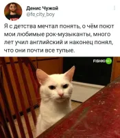 А я также фактически выучил английский, чтобы понимать, о чем поют мои любимые группы. И нихрена они оказались не тупые! Фредди Меркюри, Скорпионс, Ник Кейв - спасибо вам!