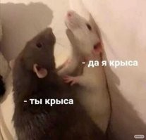 15 товарищей, к которым удача повернулась не тем местом