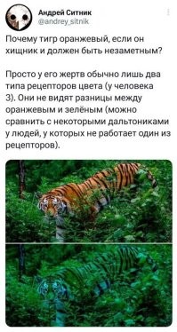 А как тигры это выяснили?