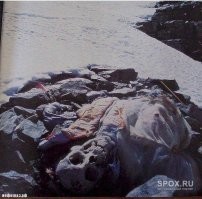 20+ занимательных кадров, которые открывают разные грани мира