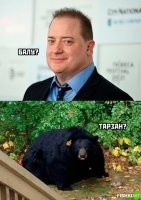 балу был с Маугли. Тарзан вообще медведей не видел - только львы