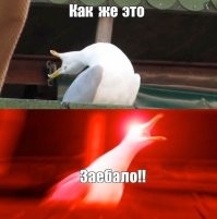 В Китае зафиксировали первую смерть от птичьего гриппа