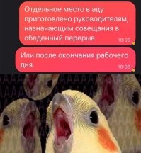 Посылаешь такое создание накуй и находишь себе нормальную работу.