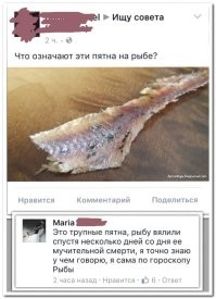 Комментарии и картинки из соцсетей. Свежак за 12 апреля