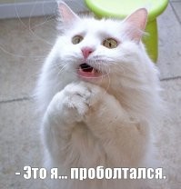 У любого кота спросите..