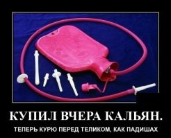 Скрины из соцсетей&nbsp;