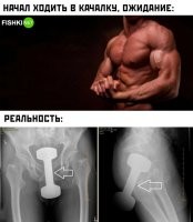 - а тут был член.
- не был, а бывал. Это женский скелет.