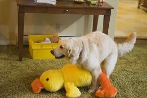 Бывает и хуже.