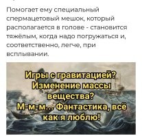 Кашалот: уникальное животное, которому нет равных