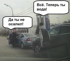 Весенние брачные игры на дороге