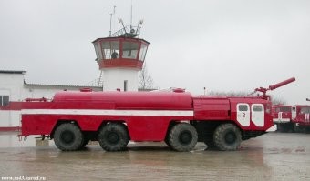 У нас в аэропорту такие зверюги были