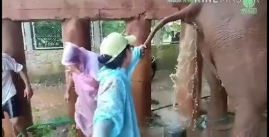 Вот где, не приведи Господь, работа.