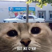 Ты как наркотик, котик: закладчица с прицепом провалила задание