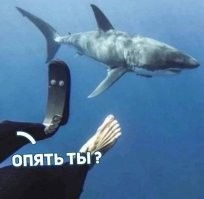 Фотоприколы и&nbsp;прикольные картинки