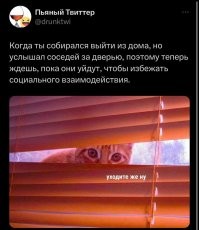 Фотоприколы и&nbsp;прикольные картинки