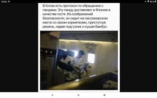 Со своим кем? ПристУгнув?
Интересно как подгузник меняют во время полета...