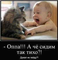 Кот познал тщетность бытия
