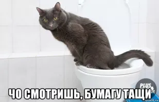 Намешалось