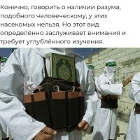 Слов нет.